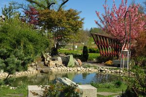 Wiosna w mieście - kwitnące kwiaty, zieleń drzew