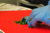 Ręce w niebieskich rękawiczkach krojące zieloną cebulkę