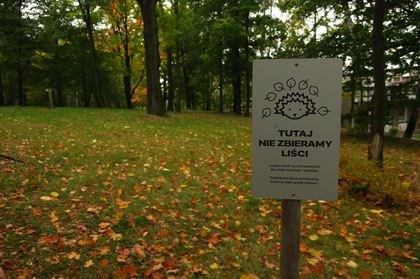 Jesienny park, liście na ziemi, tablica z rysunkiem jeża informująca o niezbieraniu liści, wokół drzewa.