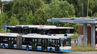 Zdjęcie przedstawia autobusy wodorowe.