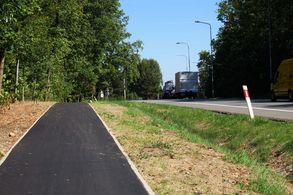 Asfaltowa droga rowerowa biegnąca wzdłuż ulicy, po obu stronach drogi las