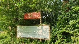 Użytek ekologiczny Okrzeszyniec