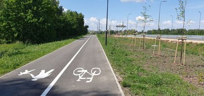Droga pieszo-rowerowa oznaczona symbolami. Po obu stronach zieleń. W dali, po prawej stronie, ekrany akustyczne i barierki przy drodze szybkiego ruchu. 