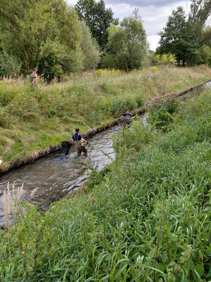 Odławianie nutrii na rzeką Nacyną