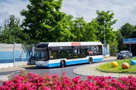 autobus na rondzie