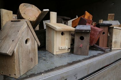 Budki lęgowe dla ptaków wykonane przez uczniów rybnickich szkół