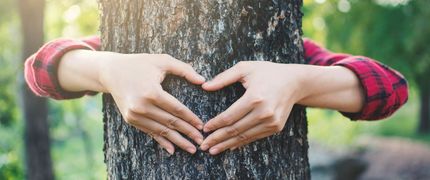 Drzewo obejmowane przez dwie dłonie uklądające się w serce
