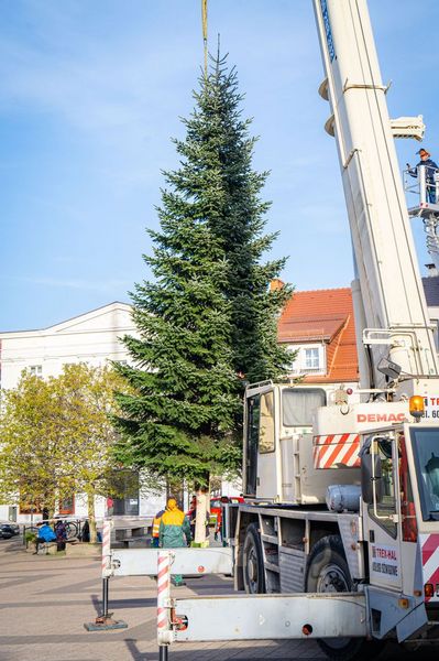 Ustawianie choinki na rybnickim rynku