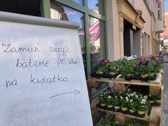 kwiaty - akcja - wymień baterie na sadzonki