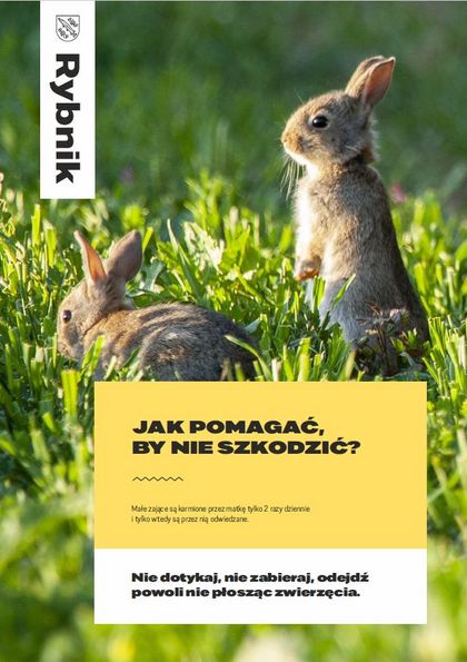 Plakat edukacyjny dot. spotkanych w mieście dzikich zwierząt i ich młodych: Nie dotykaj, nie zabieraj, odejdź powoli nie płosząc zwierzęcia.