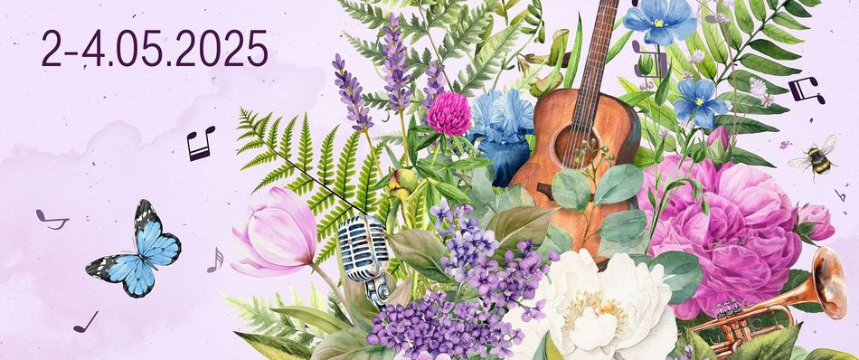 Elementy graficzne rybnickiej majówki