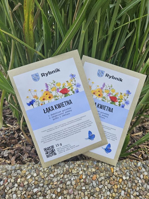 Dwa opakowania nasiona łąk kwietnych z napisem Rybnik