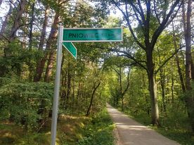 Sciezka Pniowiec fot.L.Karbowinski 4