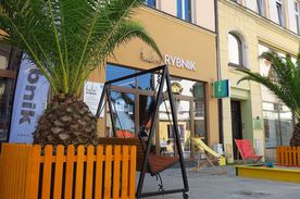 Palmy przed budynkiem halo Rybnik