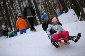Zima. Dzieci zjeżdżąjące z górki na sankach.