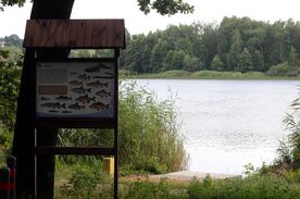 Tablica edukacyjna na temat letniej fauny i flory, na drugim planie jezioro.