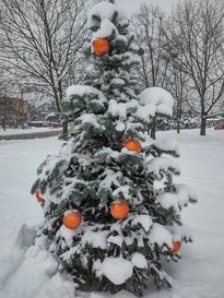 Ustrojona, zielona choinka w przestrzeni miejskiej 