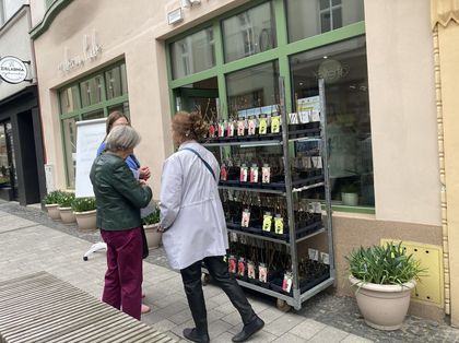 Urban Lab Zielony Tydzień