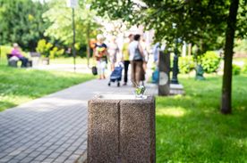 Zraszadełka w Rybniku