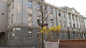 Dekoracje wielkanocne (zajączki, kwiaty, ptaszki) w przestrzeni miejskiej - na drzewach i budynkach