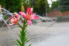 Lato w mieście - Rybnik 2023 