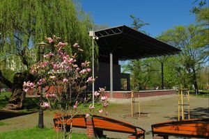 Wiosna w mieście - kwitnące kwiaty, zieleń drzew