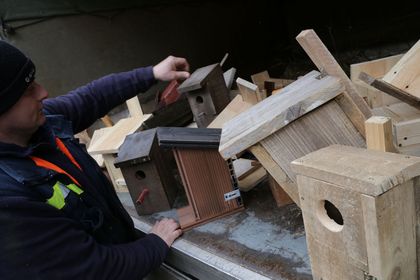 Budki lęgowe dla ptaków wykonane przez uczniów rybnickich szkół