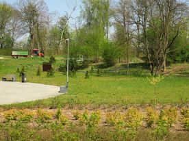 Park miejski wiosną 