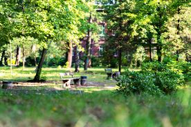Park pod wieżą na terenie rybnickiego szpitala psychiatrycznego 