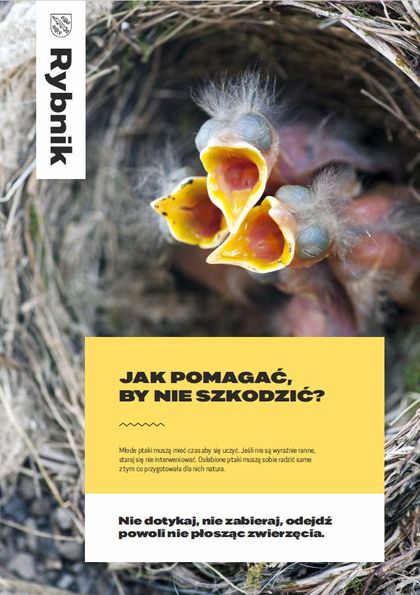 Plakat edukacyjny dot. spotkanych w mieście dzikich zwierząt i ich młodych: Nie dotykaj, nie zabieraj, odejdź powoli nie płosząc zwierzęcia.