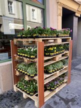 kwiaty - akcja - wymień baterie na sadzonki