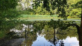 Użytek ekologiczny Okrzeszyniec