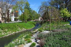 Wiosna w mieście - kwitnące kwiaty, zieleń drzew