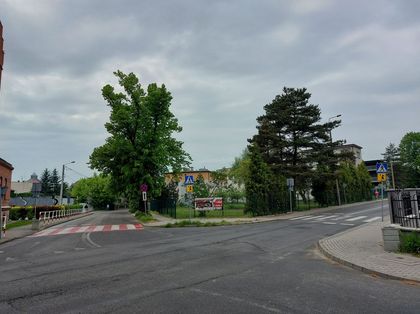 Pasy na przejściu dla pieszych przy ul. Cmentarnej/Rybnickiego