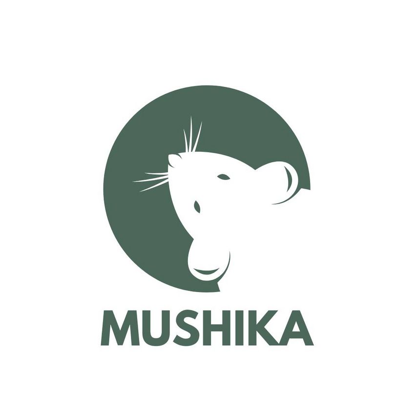 Zdjęcie przedstawia logotyp Fundacji Mushika.