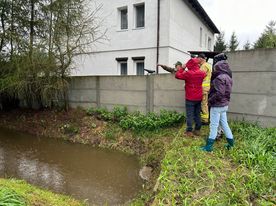 Sytuacja powodziowa w Rybniku