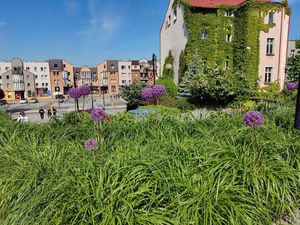 Ukwiecone schody przed Teatrem Ziemi Rybnickiej 