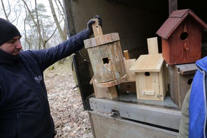 Montaż budek lęgowych dla ptaków wykonanych przez uczniów rybnickich szkół