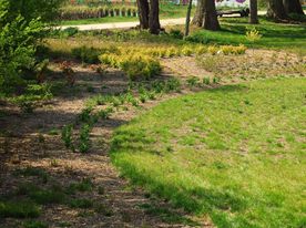 Park miejski wiosną