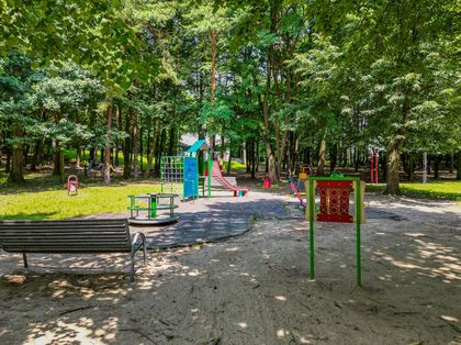Park Boguszowice-Osiedle z lotu ptaka