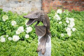 Odsłonięcie rybnickiego, herbowego szczupaka z brązu