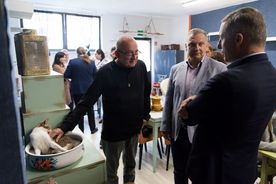 Koci dom tymczasowy w dzielnicy Boguszowice Osiedle