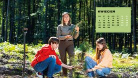 KWIECIEŃ - Nadleśnictwo Rybnik