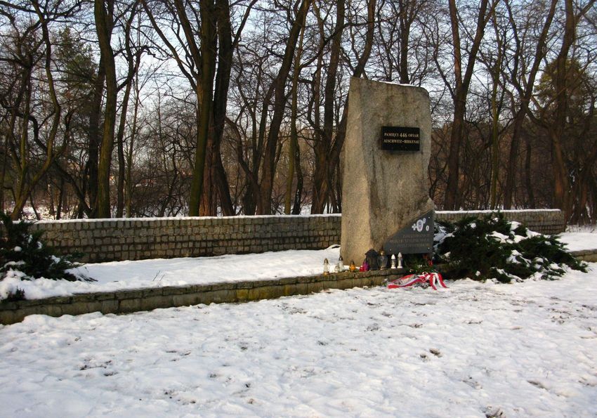 Mogiła w lesie nad rzeką Rudą