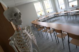 Pusta sala szkolna. Z lewej strony model ludzkiego szkieletu 