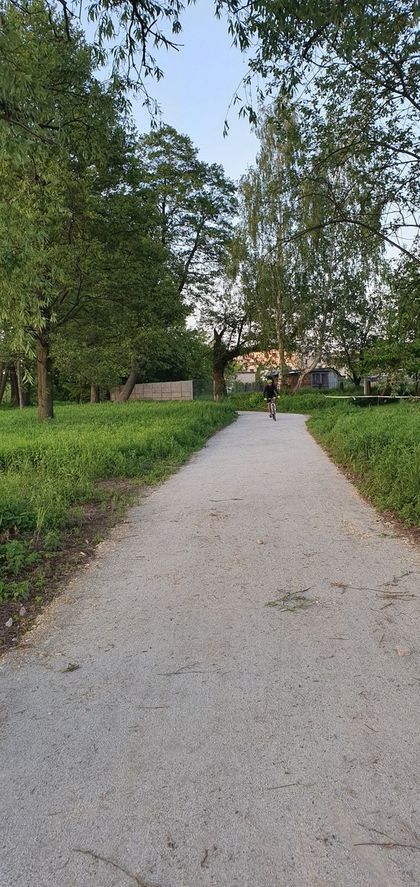 Szutrowa droga rowerowa. Po obu stronach zieleń. 