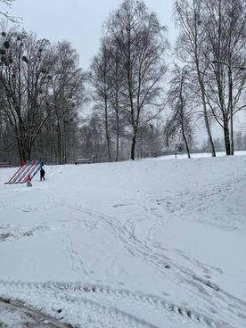 Śnieg na wzgórzu, wokół drzewa
