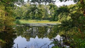 Użytek ekologiczny Okrzeszyniec