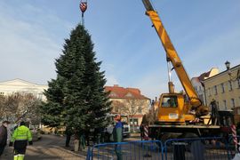 Montaż choinki na rybnickim rynku
