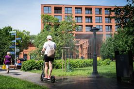 Zraszadełka w Rybniku